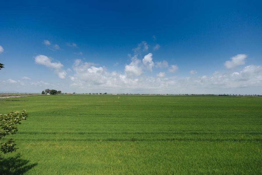 Salicornia Apartament L'Eucaliptus Εξωτερικό φωτογραφία